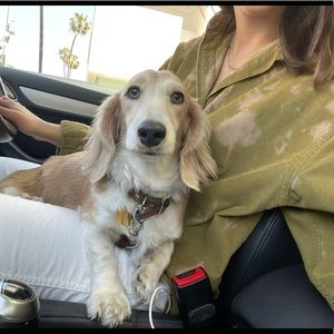 Meet your Posher, Gabi